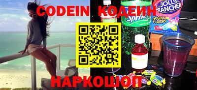 индика Дубна
