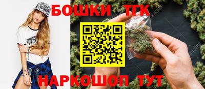 индика Дубна