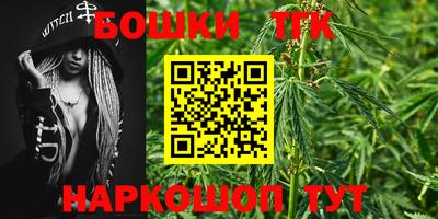 индика Дубна