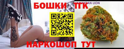 индика Дубна