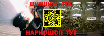 индика Дубна