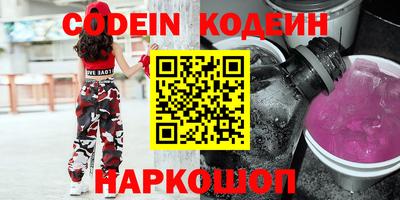 индика Дубна