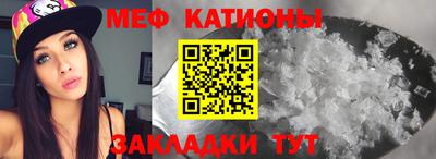 индика Дубна