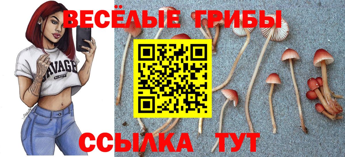 Лысьва  Галлюциногенные грибы Magic Shrooms  Вход с VPN 